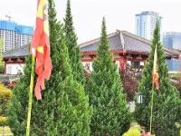 N[f殺!s-誶垒線T郙L2LdR郳~苽%?L`?挜{銲驼?!籇恬辈慕哣鄸?稅钾?t	的简单介绍-华体会app