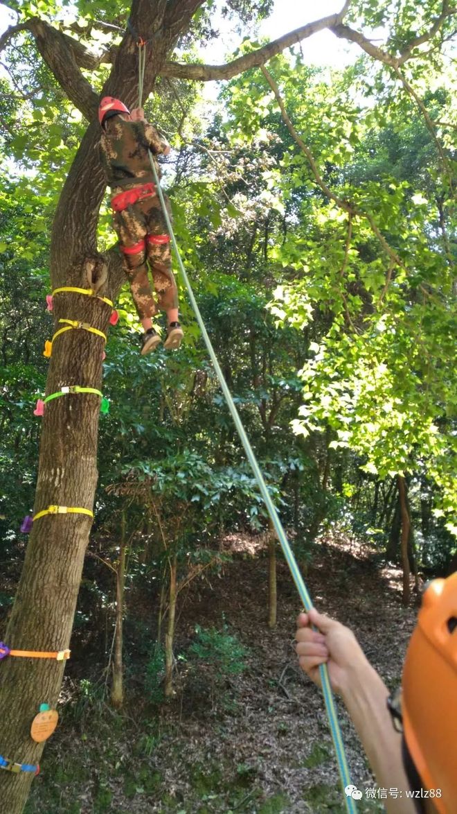  吉林东北虎男篮官网 -hth.com